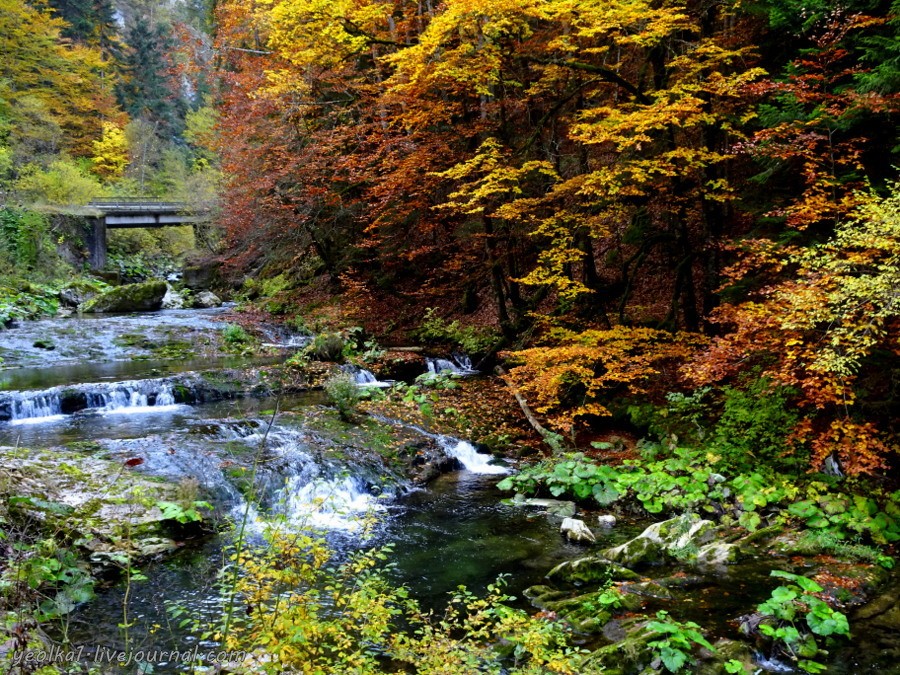 3253899_900.jpg 3253899_900.jpg