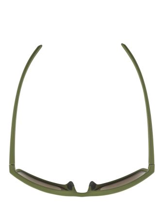 Купить Очки Alpina Nacan I Olive Matt/Bronce Mirror Cat.3 в Краснодаре